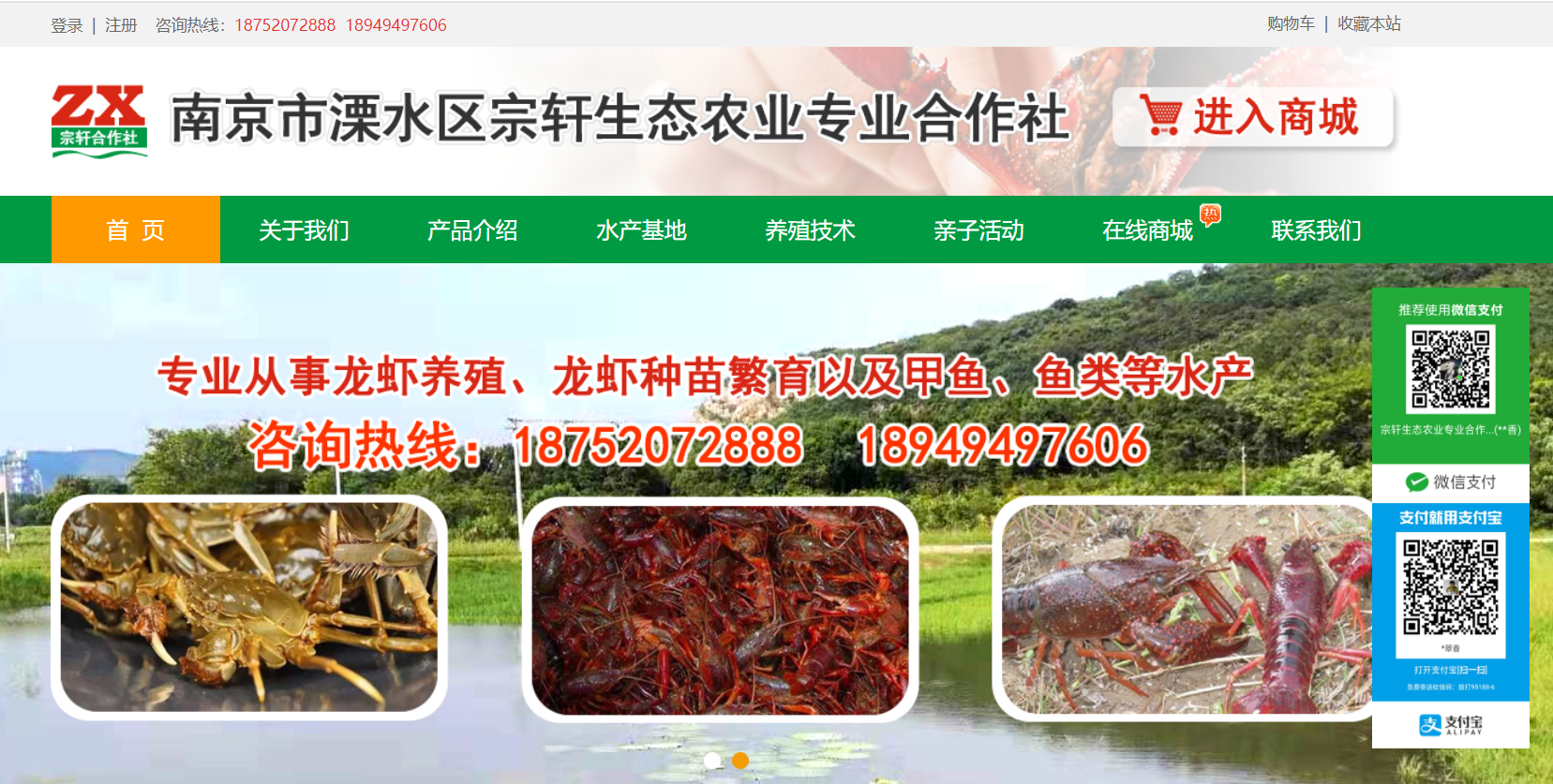 南京市溧水区宗轩生态农业合作社